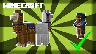 ✔ MINECRAFT  How to Find Wandering Traders 1144 [upl. by Ikkir]