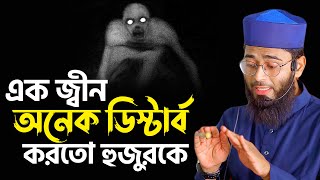 এক জ্বীন অনেক ডিস্টার্ব করতো হুজুরকে  হুজুরের নিজ মুখেই শুনুন  Abrarul Haque Asif [upl. by Saiff141]