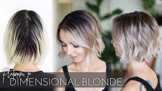 All Over Platinum to Dimensional Blonde Balayage in one Appointment  Easy Technique [upl. by Artemed98]