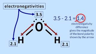 Polar Molecules Tutorial How to determine polarity in a molecule [upl. by Morgenthaler]