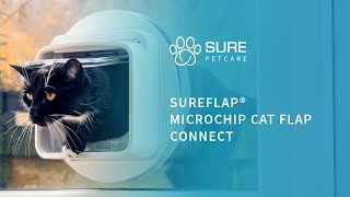 SureFlap® Microchip Cat Flap Connect [upl. by Maidy]