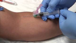 Phlebotomy Syringe Draw Procedure  Blood Collection RxTN [upl. by Janeta]