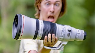 The Canon 600mm F4 III The HOLY GRAIL of WILDLIFE – Is it WORTH the Price [upl. by Walt]