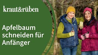 Apfelbaum schneiden 🍎  Apfelbaumschnitt für Anfänger [upl. by Torin]