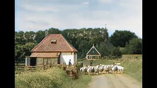 Texel De Parel Der Waddenzee in 1943 in kleur The beautiful Dutch island of Texel in 1943 in color [upl. by Enyala]