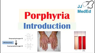 Introduction to Porphyria  Porphyria Cutanea Tarda vs Acute Intermittent Porphyria [upl. by Eslehc]