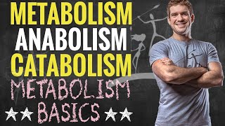 Metabolism Anabolism and Catabolism [upl. by Leihcim990]