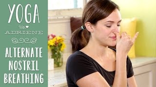 Yoga Breathing  Alternate Nostril Breathing [upl. by Auqemahs]