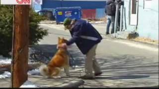 Hachi A Dogs Tale  HD Clip 1  quotHachiquot [upl. by Arihk]