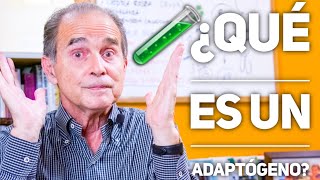 Episodio 1927 ¿Qué Es Un Adaptógeno [upl. by Sidnal]