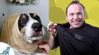 Simple Hacks To Bath Your Dog  Professional Dog Training Tips [upl. by Enelav]