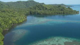 Wild New Britain Papua New Guinea [upl. by Berkshire]