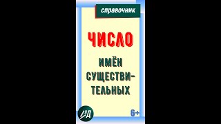 Число имен существительных [upl. by Callida]