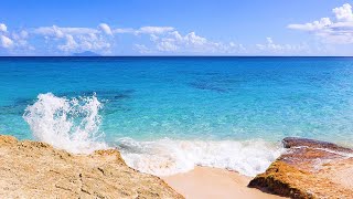 Beautiful Beach View From The Caribbean Island of St Maarten 4K Video [upl. by Enayd853]