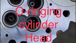 How to do O rings a cylinder head  Cummins [upl. by Adnuahsal378]