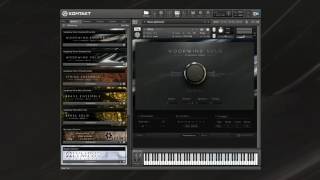 SYMPHONY SERIES  WOODWIND SOLO Playthrough  Native Instruments [upl. by Dodd]