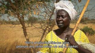 Turning the tide on desertification in Africa 7min43sec version [upl. by Normak981]