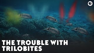 The Trouble With Trilobites [upl. by Hughes]