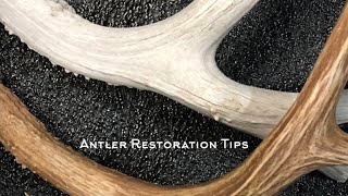 Antler Restoration Tips  Broken Tines amp Staining [upl. by Adriel]