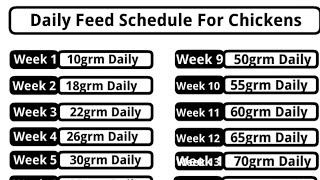 Poultry Farming Business Plan Feed Schedule For Chickens [upl. by Ylahtan342]