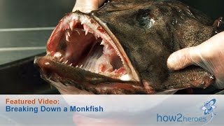 Breaking Down a Monkfish [upl. by Arsi147]