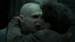 Hermione And Ron Almost Killed By Snake  Harry Potter And The Deathly Hallows Part 2 [upl. by Bandler]