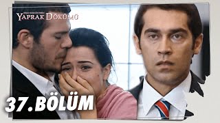 Yaprak Dökümü 37 Bölüm  Full Bölüm [upl. by Diarmit]