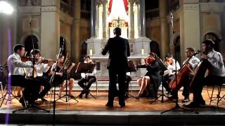 Orquesta de Cámara UC  Tchaikovsky  Elegie [upl. by Akcemat148]