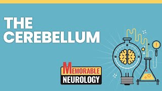 Cerebellum Mnemonics Memorable Neurology Lecture 6 [upl. by Ecirtaemed]