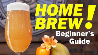 HOMEBREWING FOR BEGINNERS  How to Make Beer at Home 🏠🍺 [upl. by Aslin]