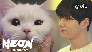 Meow the Secret Boy Trailer  Kim Myung Soo L Shin Ye Eun  Full series FREE on Viu [upl. by Kronfeld]