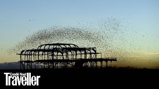 Starling murmuration in Brighton  Condé Nast Traveller [upl. by Agnot228]