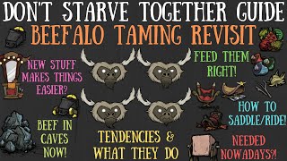 Dont Starve Together Guide Beefalo Taming Revisit  Easier Now Worth It [upl. by Ruyle]