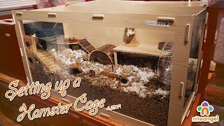 MASSIVE Niteangel Hamster Cage Setup  ASMR  Munchies Place [upl. by Atniuqal]