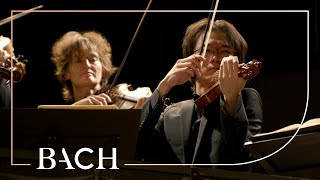 Bach  Orchestral Suite no 1 in C major BWV 1066  Sato  Netherlands Bach Society [upl. by Olga]