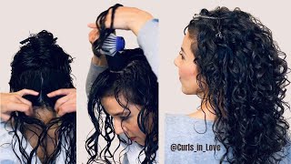 How to Style Naturally Curly Hair  Beginner Routine amp Techniques [upl. by Pelage]