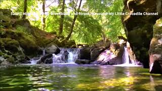 528Hz Miracle Tone  Riverbirds amp forest sound HD  No Headphones Required  4 Hours [upl. by Nolaf143]