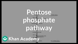 Pentose phosphate pathway  Cyclic structures and anomers  Biomolecules  MCAT  Khan Academy [upl. by Nay]