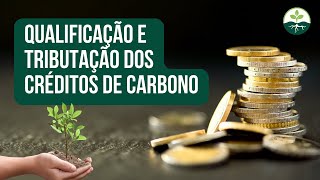 Qualificação e tributação dos Créditos de Carbono [upl. by Conny]