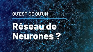 Quest ce quun Réseau de Neurones [upl. by Namlaz473]