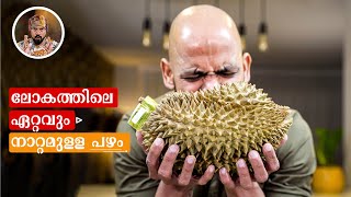 DURIAN FRUIT EATINGMOST STINKY FRUITHOW DURIAN SMOOTHIEPROTEIN SMOOTHIEHOW TO MAKE DURIAN SHAKE [upl. by Alber]