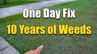 How to Fix an Ugly Lawn  Killing Lawn Weeds [upl. by Anayra]