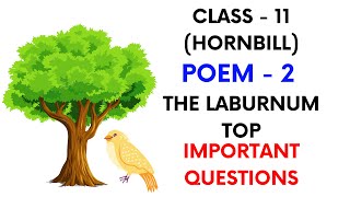 Important Questions  The Laburnum Top  Poem2  Hornbill  Class11 [upl. by Galloway]