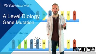 Gene mutation  A Level Biology [upl. by Soelch]