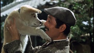 AFFIRM Films Presents Hachi A Dogs Tale [upl. by Cate]