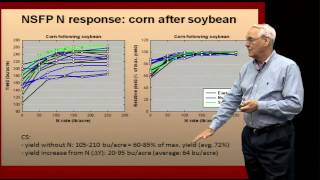 How to Properly Apply Nitrogen Fertilizer [upl. by Rhys]