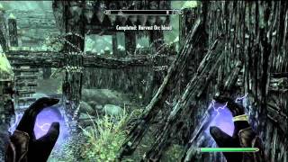 Skyrim Discerning The Transmundane Harvest Blood Walkthrough [upl. by Myrtie]