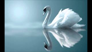 Sibelius The Swan of Tuonela [upl. by Eeldarb]