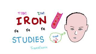 Iron Studies  Serum Fe TIBC ferritin amp Transferrin  Saturation [upl. by Virgilio]