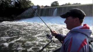 Oswego River Fall Salmon Fishing [upl. by Acirej583]